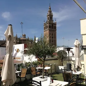 Palacio Alcazar 4*, Séville Espagne